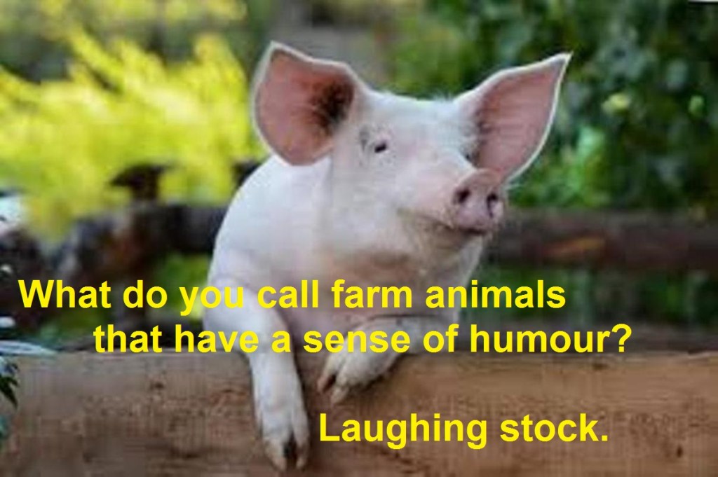 Joke about funny farm animals.