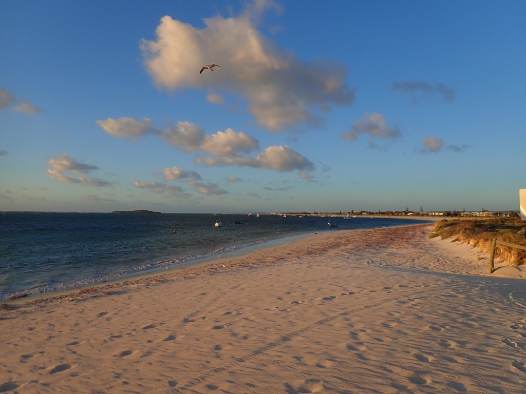 Beautiful White sandy beach next to near calm ocean, light clouds, seagull flying, boats at anchor and houses in the distance.