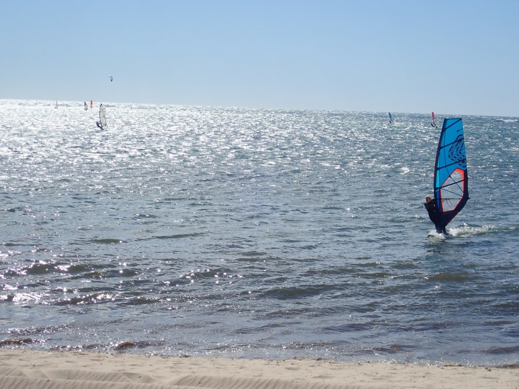 Picturesque scene of many Sailboards sailing on ocean near shore.  Blue sky and water.