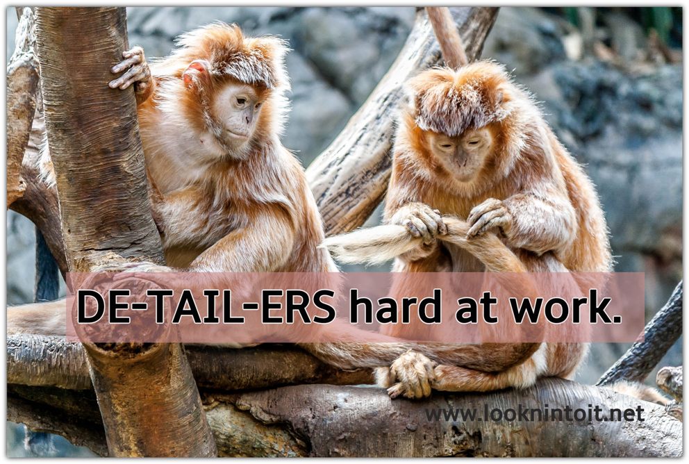 Meme monkey cleaning