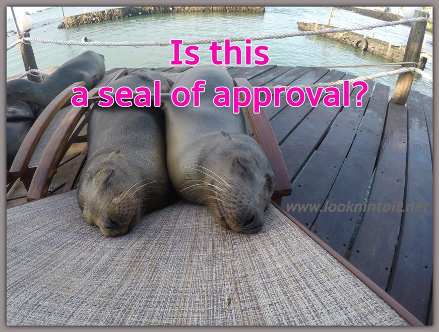 Meme Seal of Approval