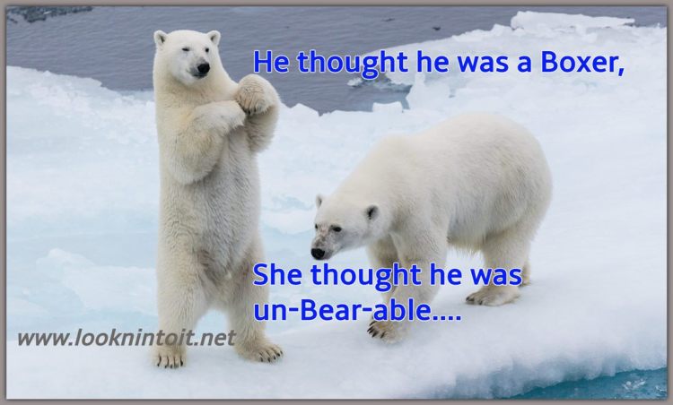 Meme about Polar Bears
