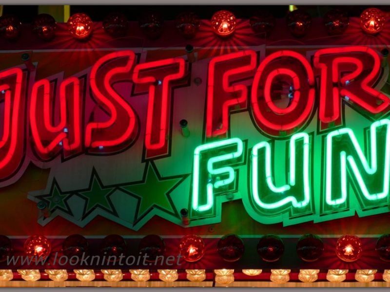 Funny Animal Video for some&nbsp;Laughs