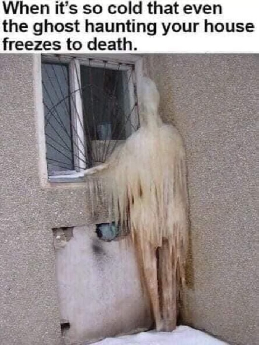 Funny image and joke.