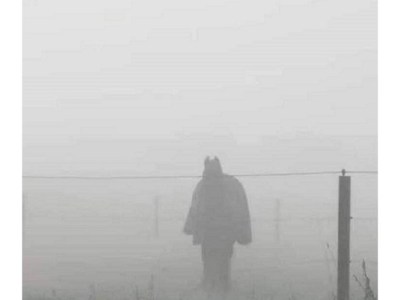 Funny Stuff of Shapes, Feet and&nbsp;Steps