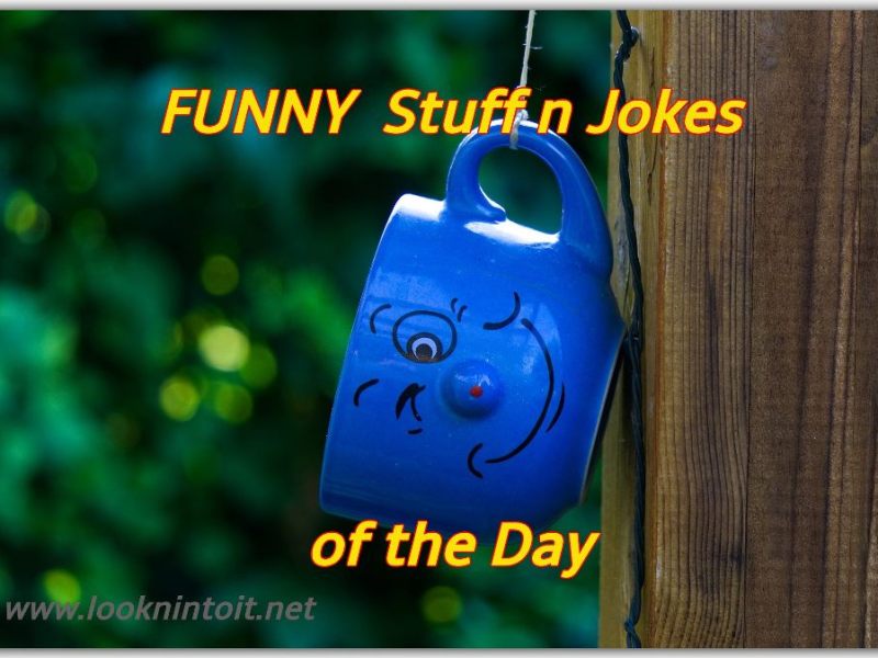 Funny Stuff for another&nbsp;Laugh