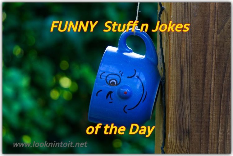 Funny Stuff for another&nbsp;Laugh