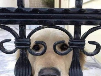 Funny Stuff for a bit of a&nbsp;Laugh