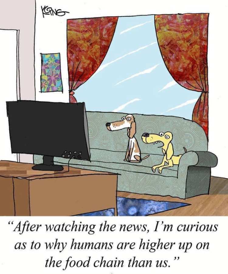 Funny Stuff with&nbsp;TV