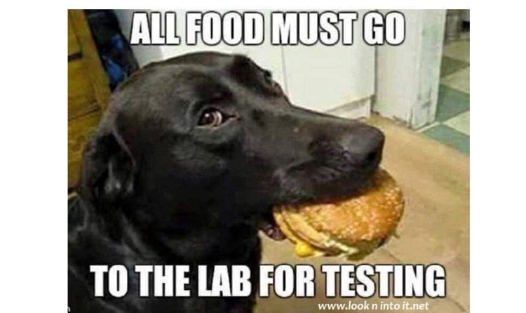 Funny Stuff of&nbsp;Tests.