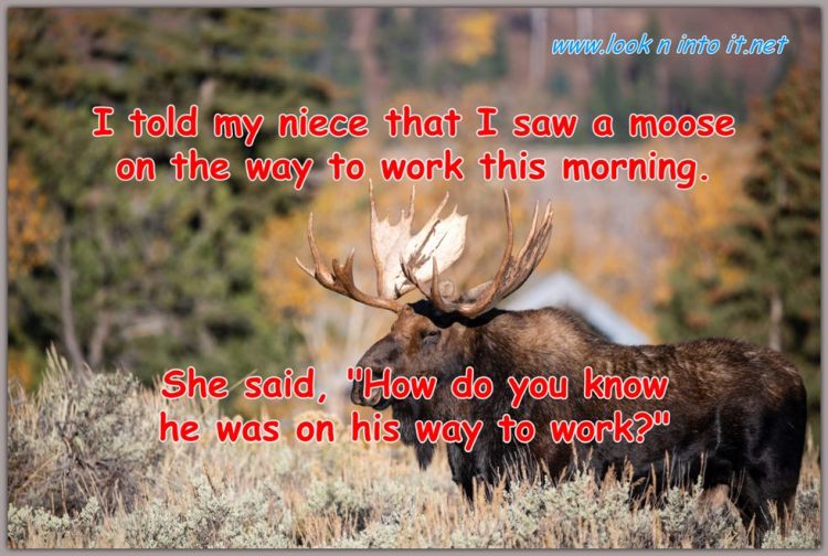 Funny Stuff when&nbsp;Outdoors