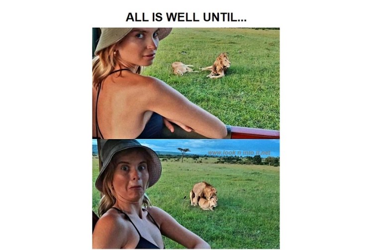 Funny Stuff of&nbsp;Watching