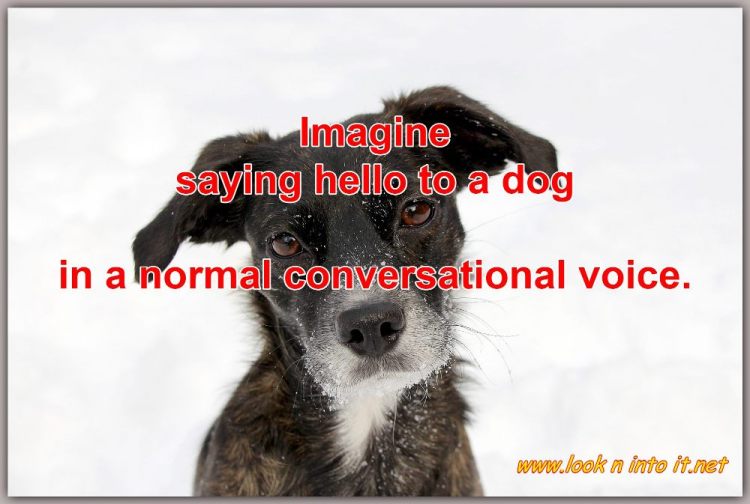 Funny Stuff may be a&nbsp;Laugh