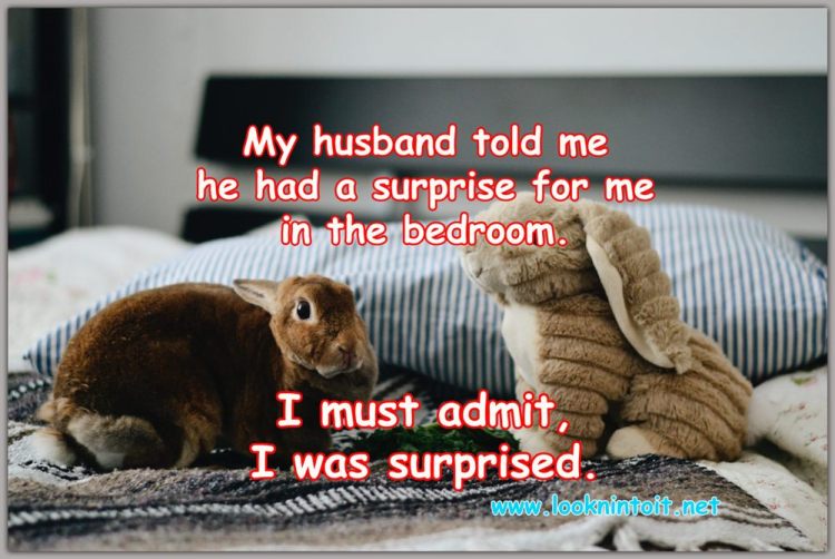 Funny Stuff with a&nbsp;Surprise.