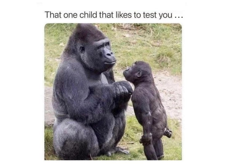 Funny Stuff about a&nbsp;Child.