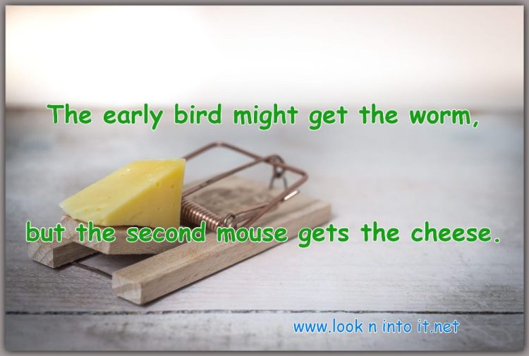 Funny Stuff of a&nbsp;But!