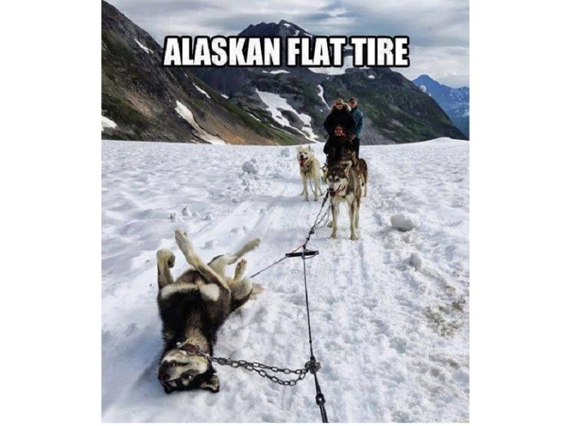 Funny Stuff with&nbsp;Tyres.