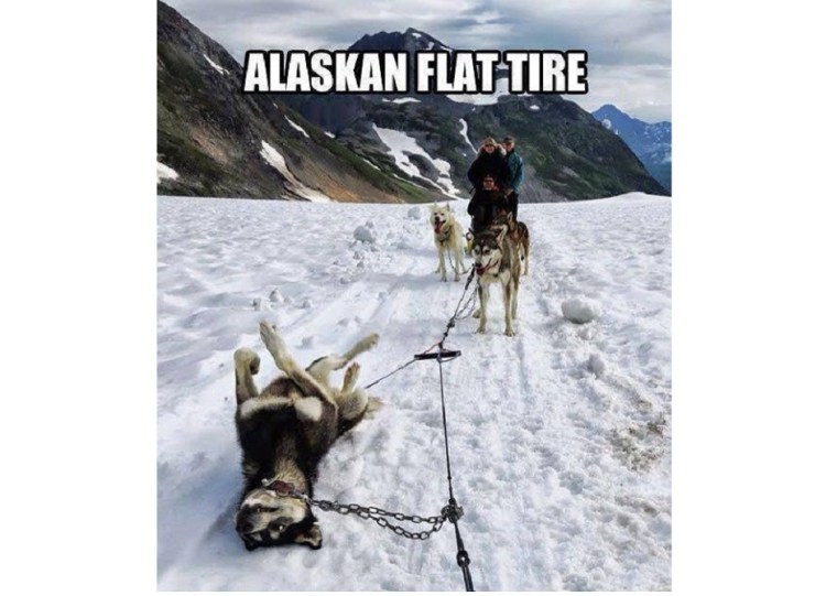 Funny Stuff with&nbsp;Tyres.