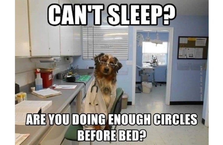 Funny Stuff of&nbsp;Sleep