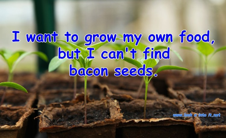 Funny Stuff with Growing&nbsp;Stuff