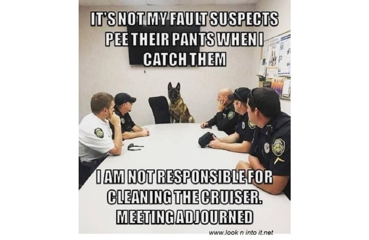 Funny Stuff of&nbsp;Pee