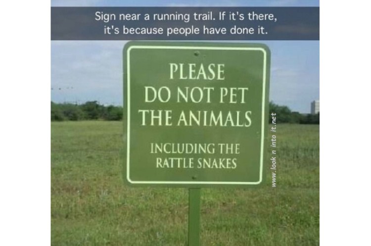 Funny Stuff with more&nbsp;Signs