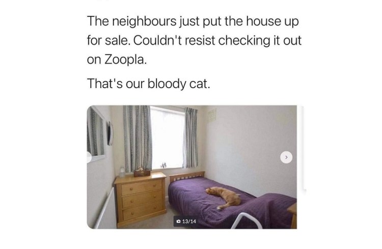 Funny Stuff on&nbsp;Sale.