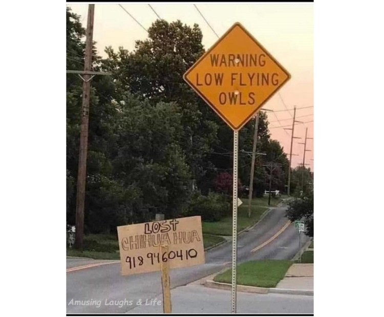 Funny Stuff when&nbsp;Low