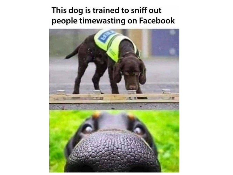 Funny Stuff when&nbsp;Reading