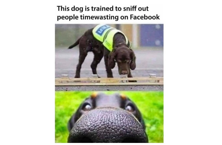 Funny Stuff when&nbsp;Reading