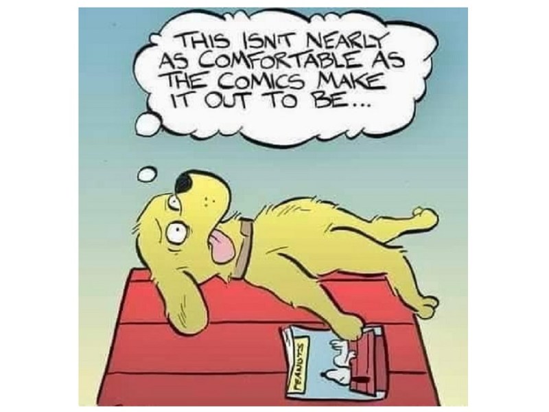 Funny Stuff with being&nbsp;Comfortable.