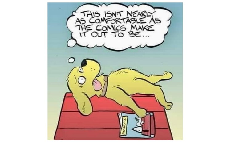 Funny Stuff with being&nbsp;Comfortable.