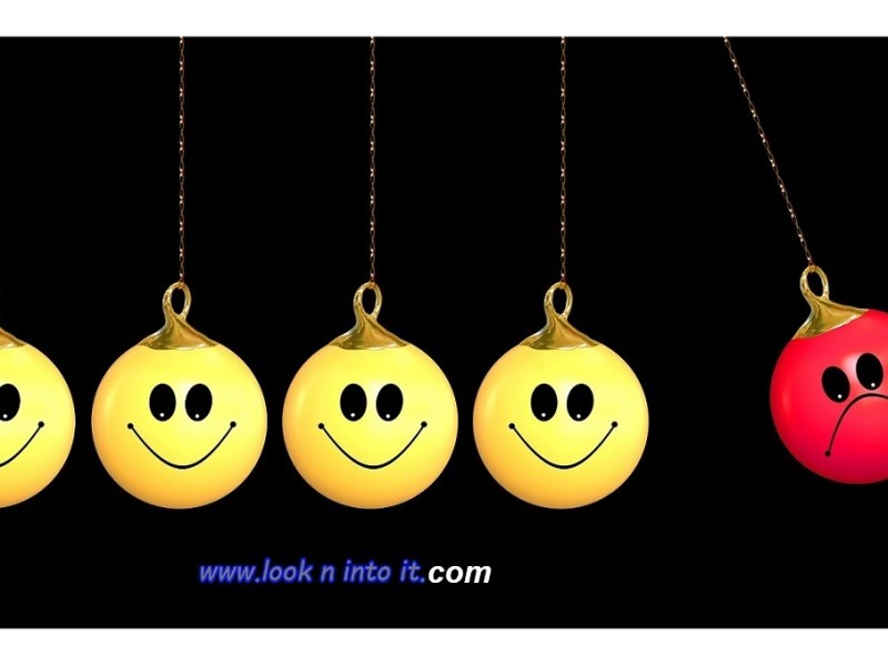 Too Many Beans (Joke of the&nbsp;Day)