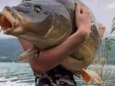 Some Funny Stuff of the&nbsp;Day