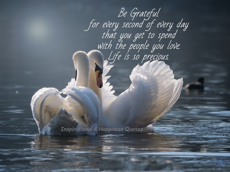 Quotes of the&nbsp;Day