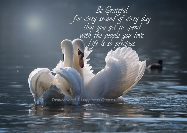 Quotes of the&nbsp;Day