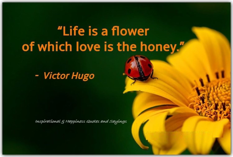 Quotes of the&nbsp;Day