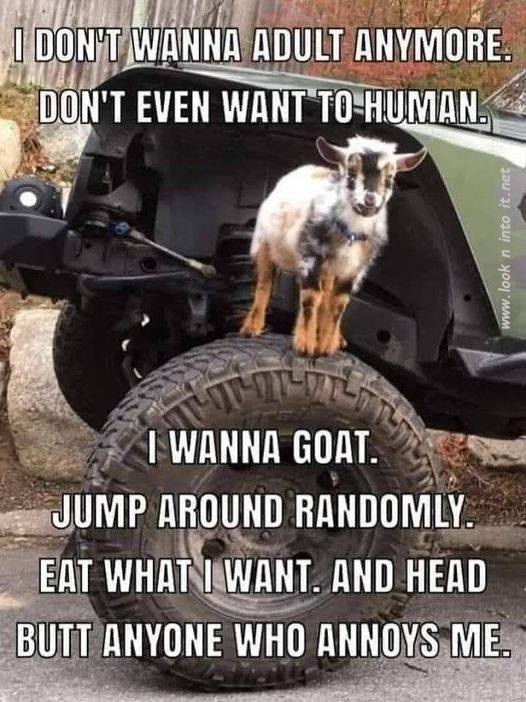 Jokes of the&nbsp;Day