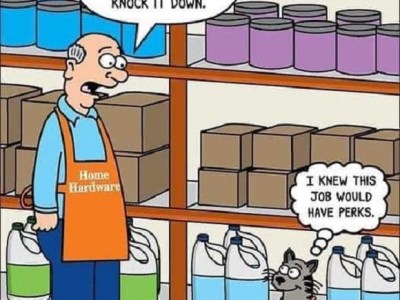 Jokes of the&nbsp;Day