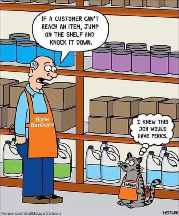 Jokes of the&nbsp;Day