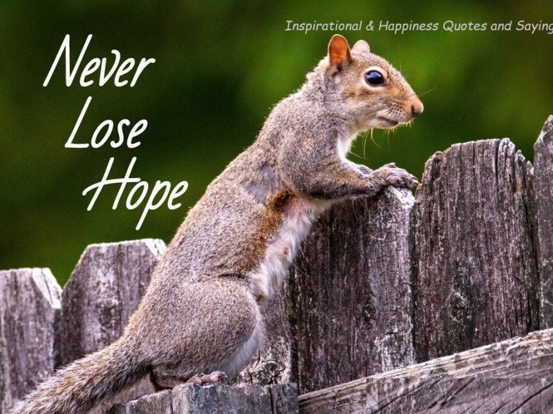 Quotes of the&nbsp;Day