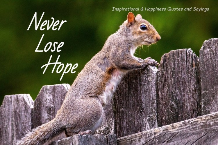 Quotes of the&nbsp;Day