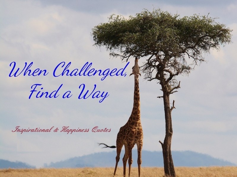 Quotes of the&nbsp;Day