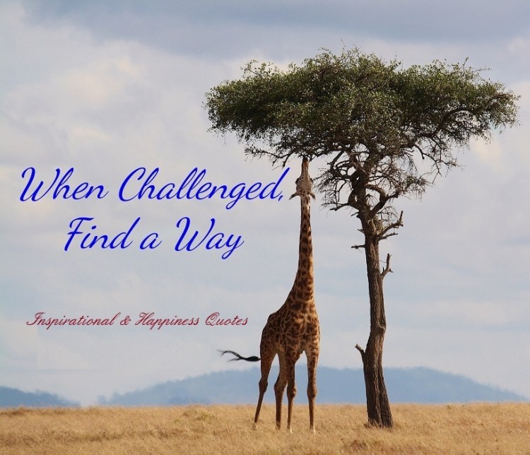 Quotes of the&nbsp;Day